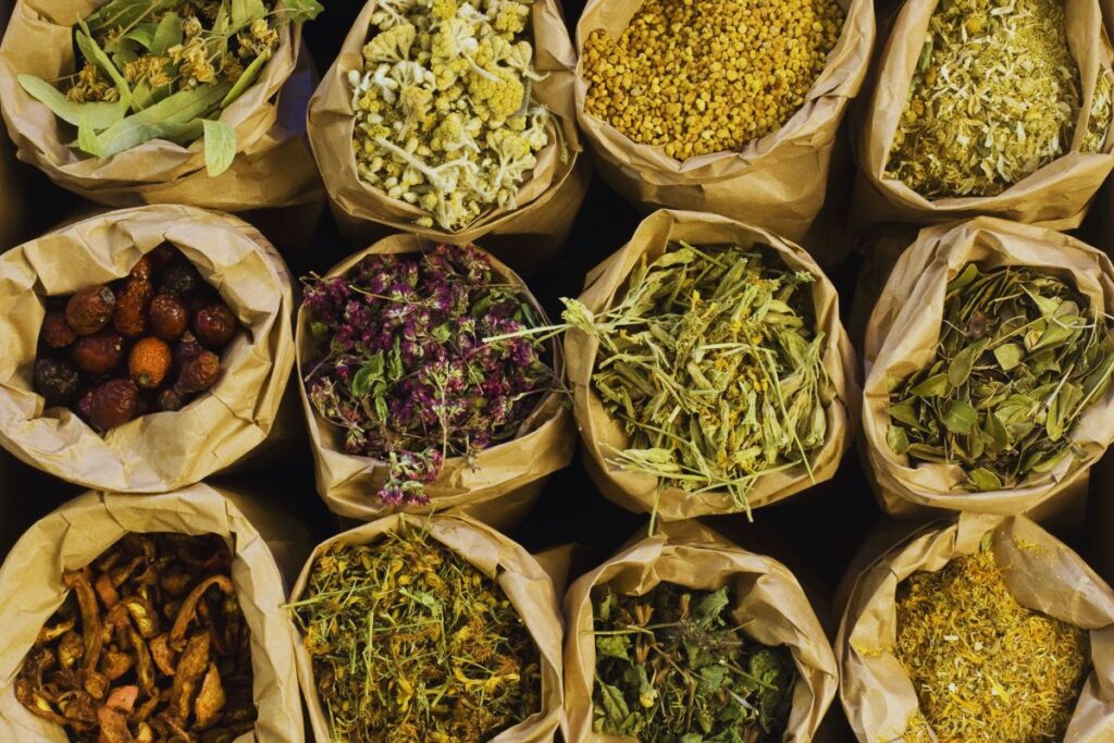 Hierbas Medicinales para Alternativas a los Medicamentos Convencionales en Argentina